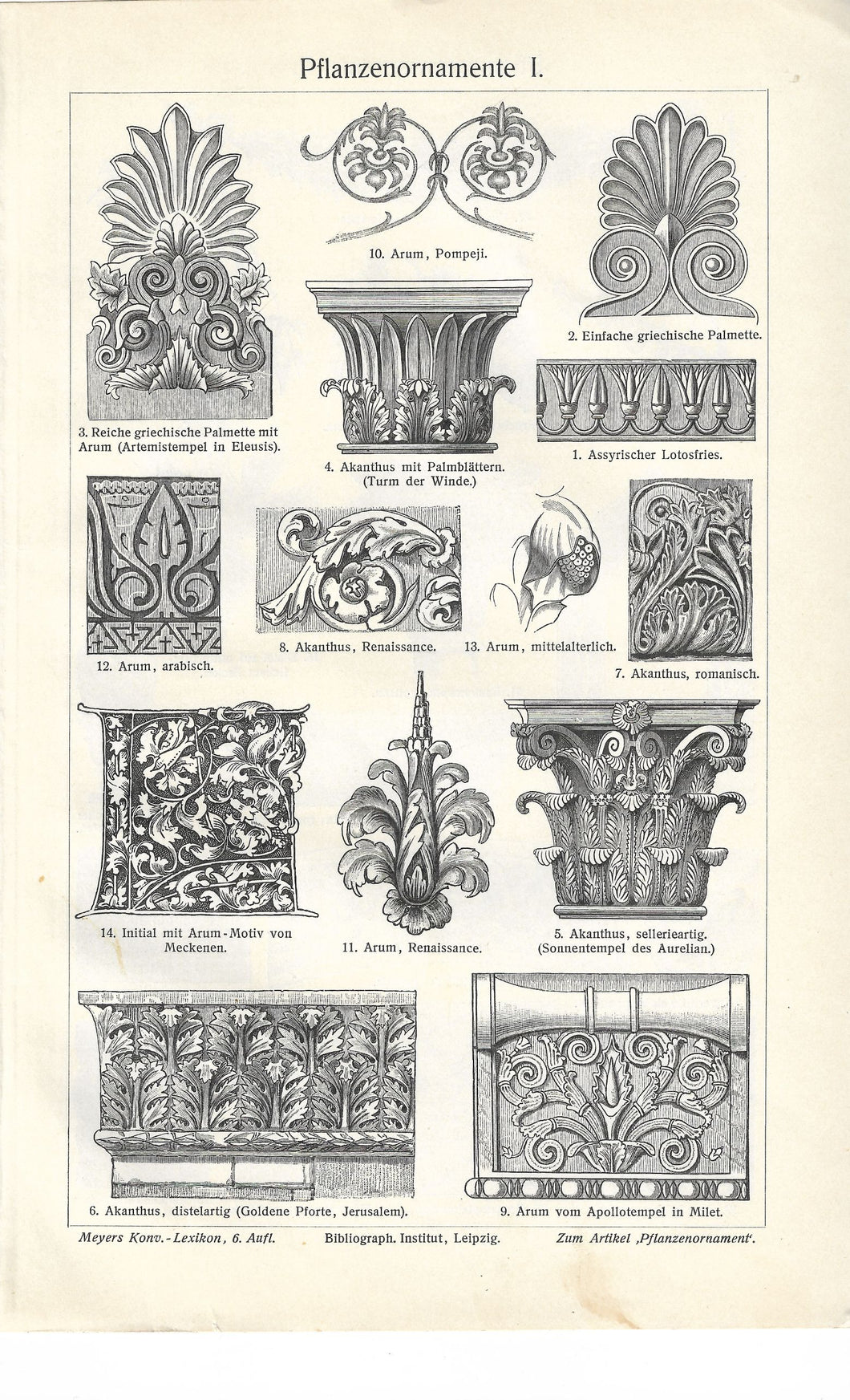 Architectural Plant Ornaments, 1881