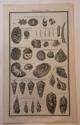 Shells  Tab. I ,1790