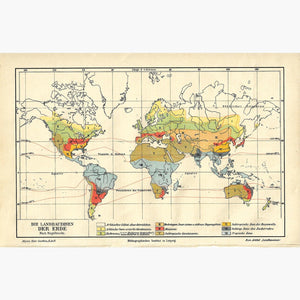 Antique Map The Agricultural Zones of the World 1906 Maps
