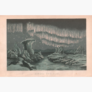 Aurora Borealis 1881 Prints