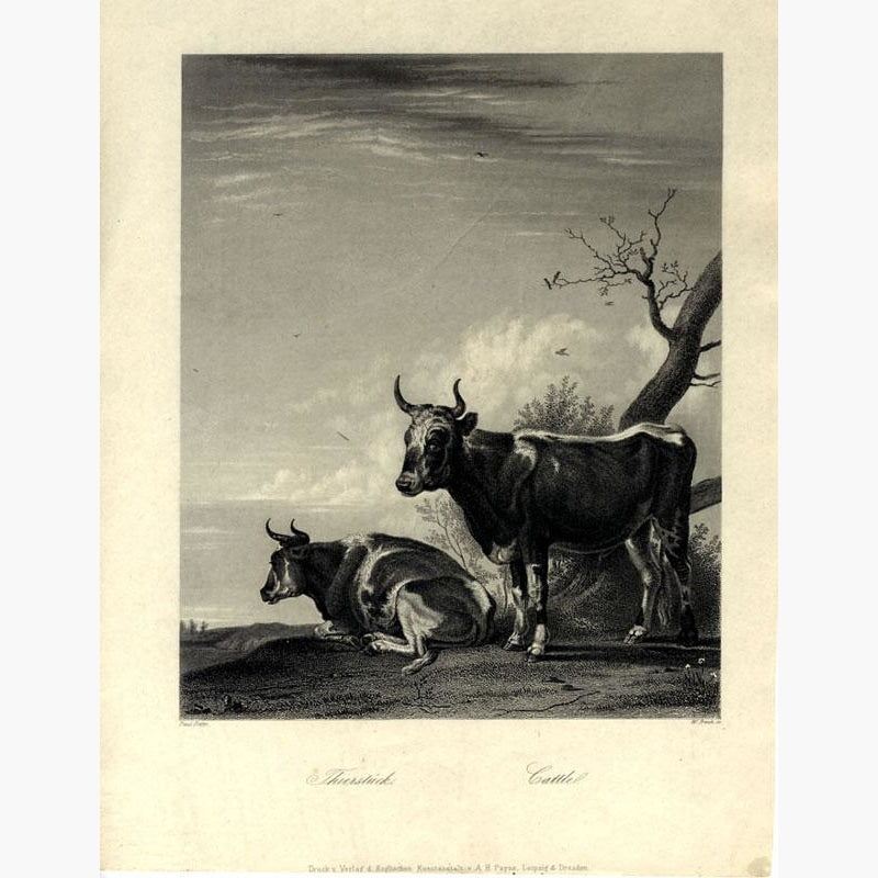 Cattle Thierstuck c.1850 Prints KittyPrint 1800s Monkeys & Primates