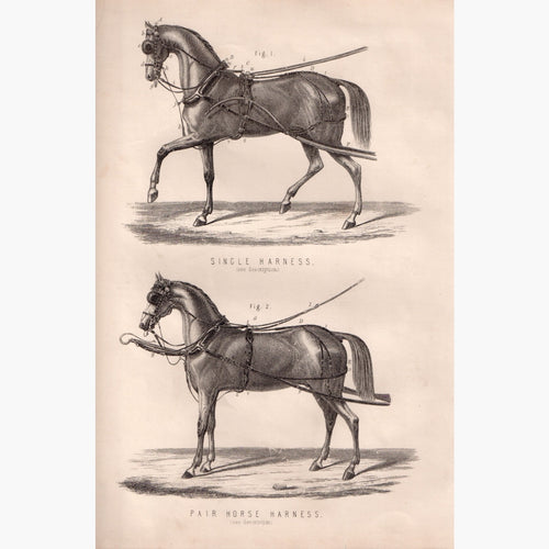 Horse Harness C.1880 Prints