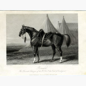 Ronald. The Favorite Charger of the Earl of Cardigan 1856 Prints KittyPrint 1800s Horses