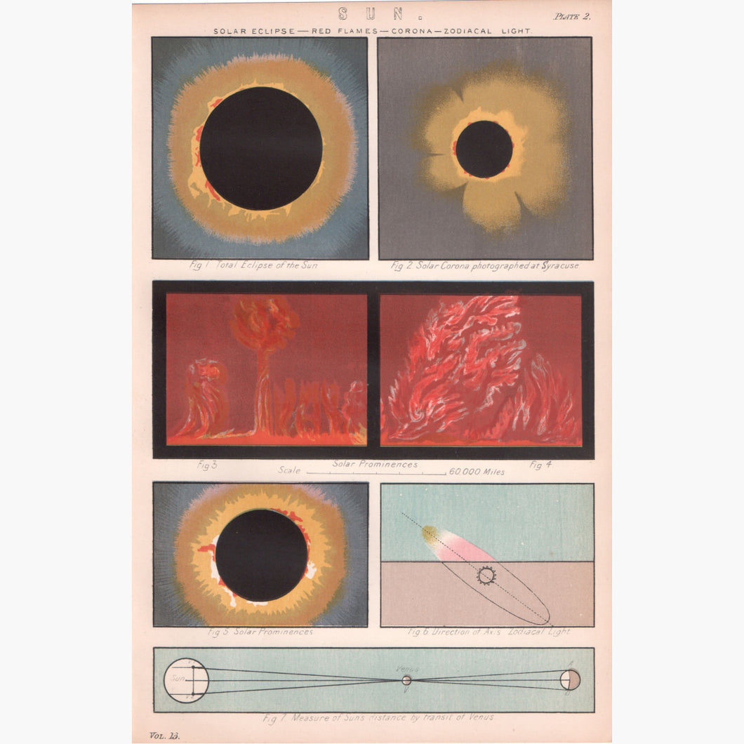 Solar Eclipse 1881 Prints
