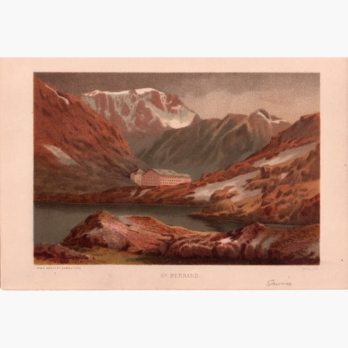St. Bernard C.1850 Prints