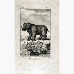 The Hippopotamos 1790 Prints KittyPrint 1700s Monkeys & Primates