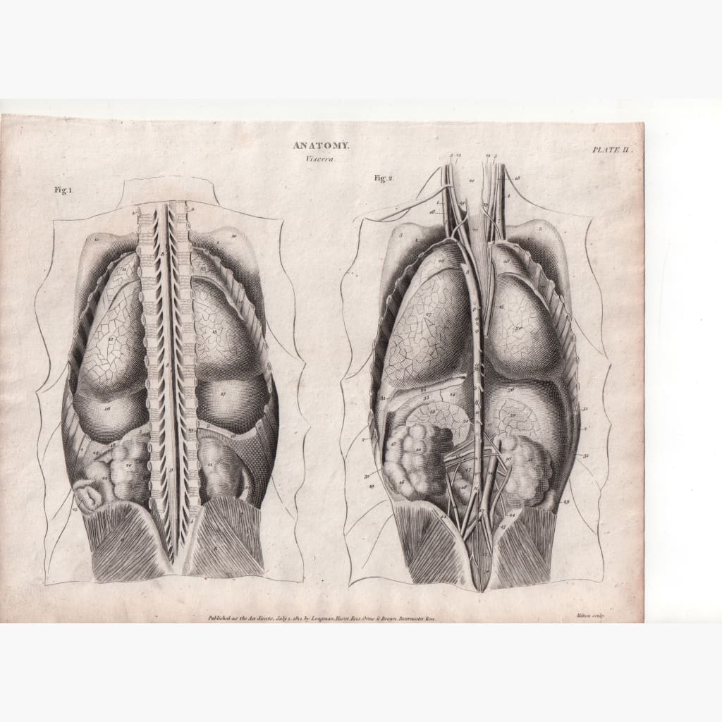 Anatomy. Viscera 1814 Prints