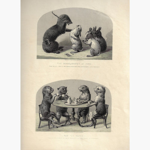 Antique Print Comical Creatures c.1860 Prints