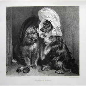 Comical Dogs C.1860 Prints