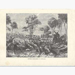 Antique print Hunting Kangaroos 1880 Prints
