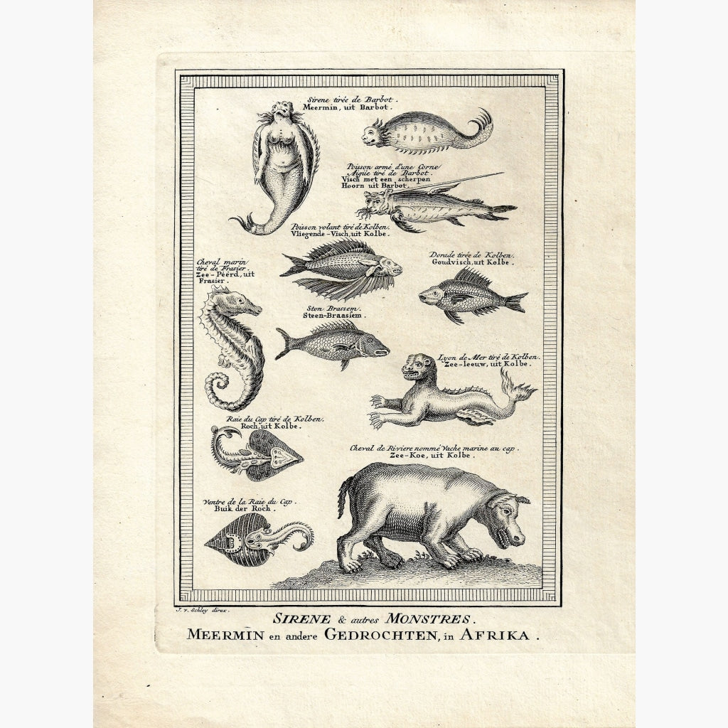 Antique Print Mermaid Sirene and Monsters,1748 Prints