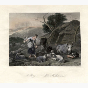 Milking c.1840 Prints KittyPrint 1800s Genre Scenes