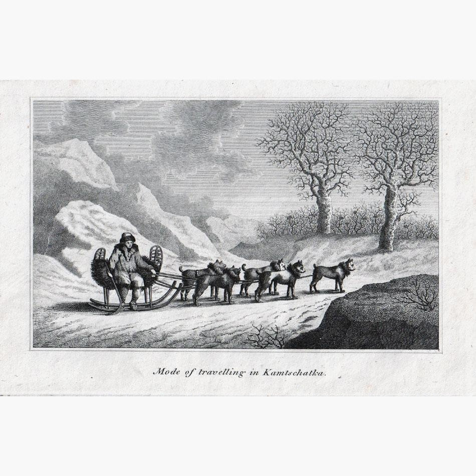 Mode of travelling in Kamtschatka c.1800 Prints KittyPrint 1800s Dogs Russia