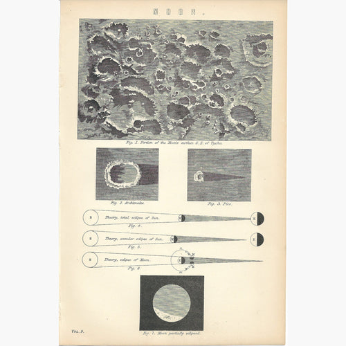 Antique Print Moon,1881 Prints