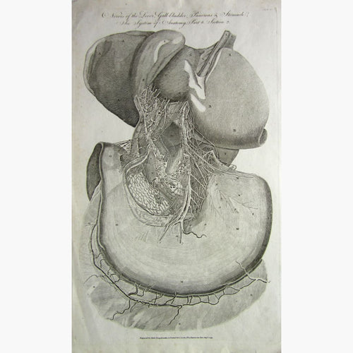 Nerves Of The Liver 1795 Prints