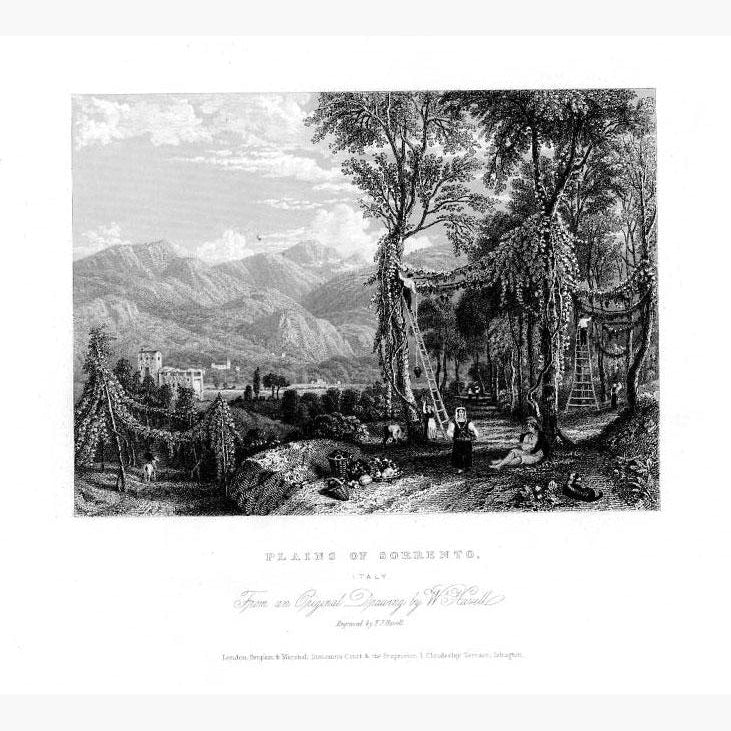 Plains of Sorrento c.1860 Prints KittyPrint 1800s Italy Landscapes