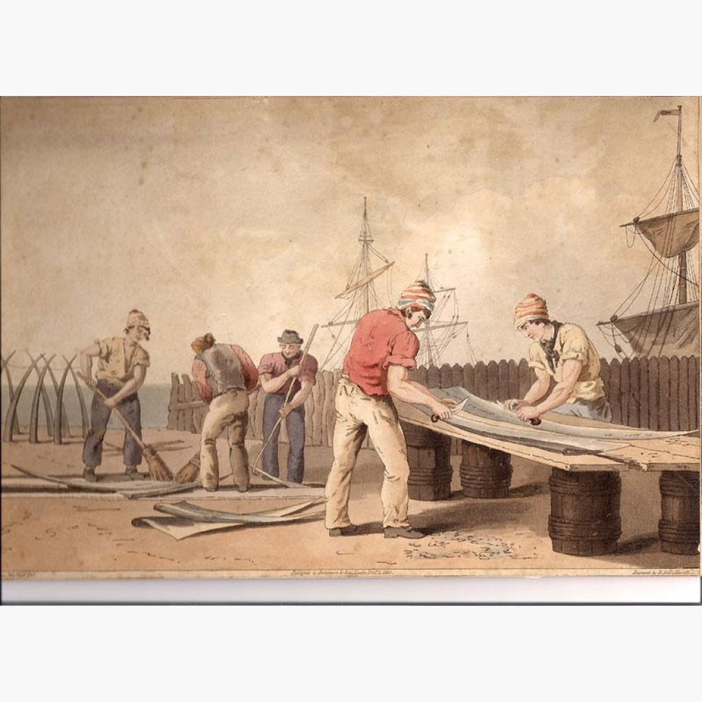 Sailors Scraping Whalebone 1813 Prints KittyPrint 1800s Genre Scenes Maritime Seascapes Ports & Harbours