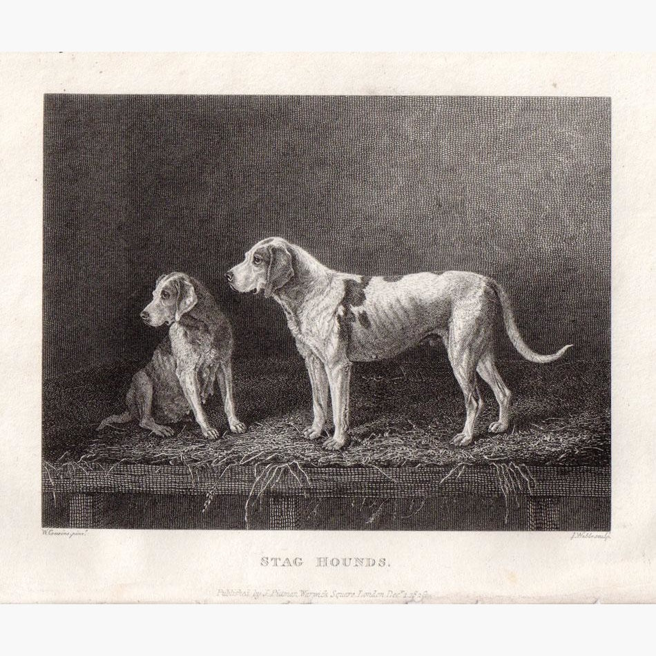 Stag Hounds 1812 Prints KittyPrint 1800s Dogs