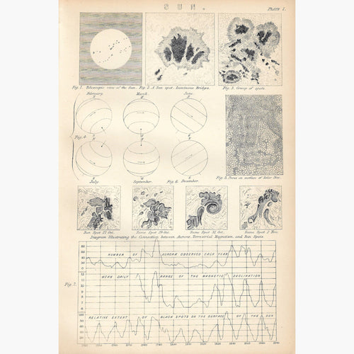 Antique Print Sun 1881 Prints