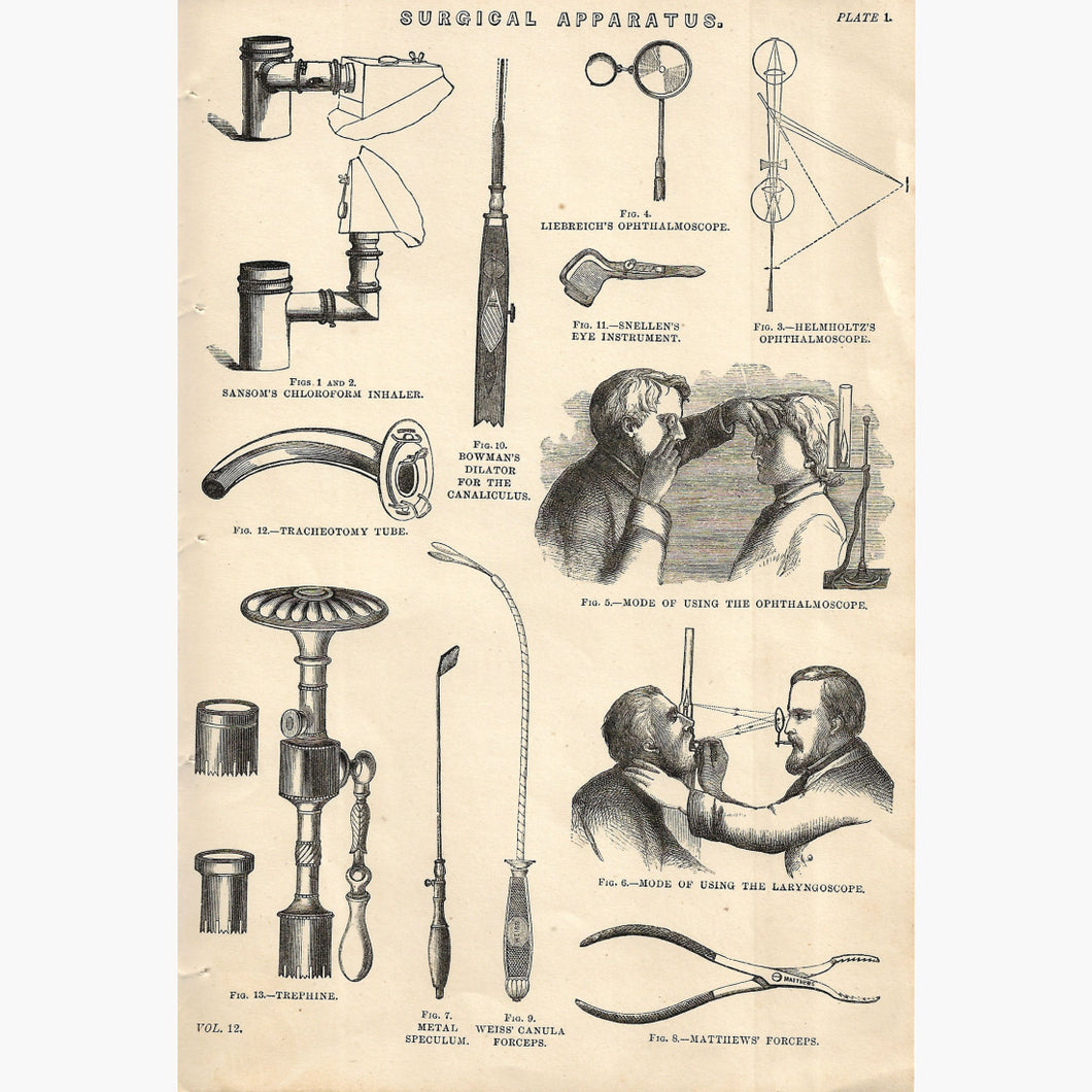 Antique Print Surgical Apparatus 1881 Prints