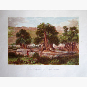 Antique Print The Garden Of Gethsemane C.1860 Prints