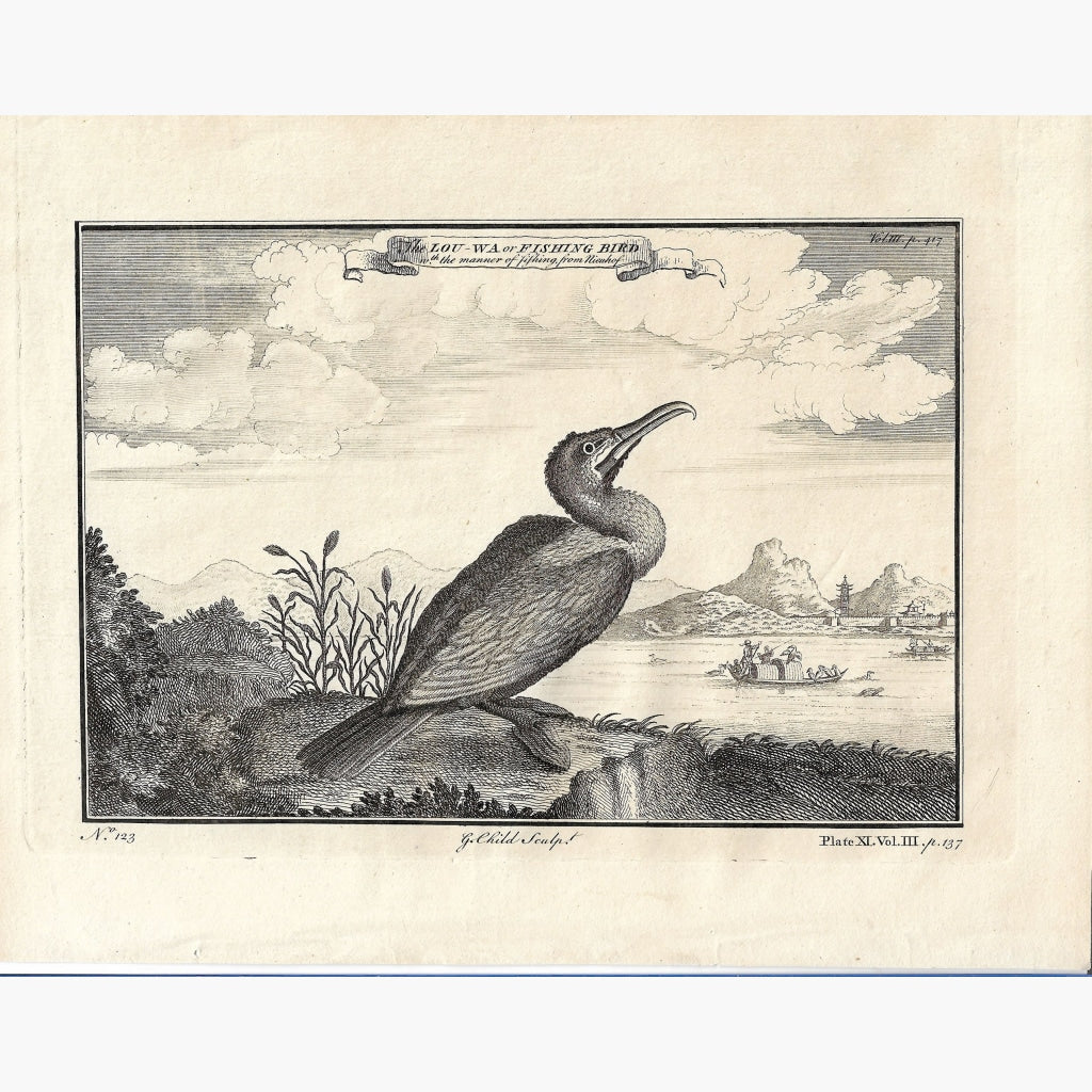 Antique Print The Lou-wa or Fishing Bird,1750 Prints