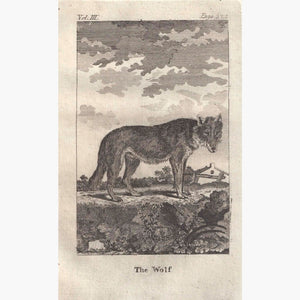 The Wolf 1790 Prints