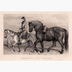 Travelling Cart Stallion C.1870 Prints