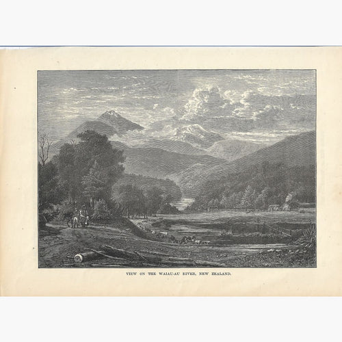 Antique Print,View on the Waiau-au River New Zealand 1880 Prints