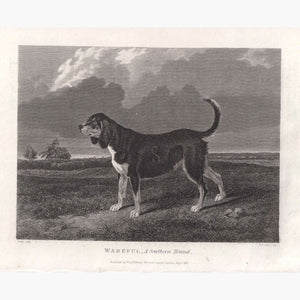 Wareful. A Southern Hound 1831 Prints