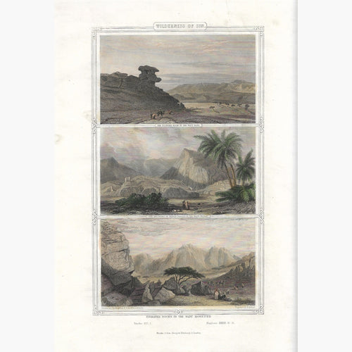 Antique Print Wilderness of Sin 1855 Prints