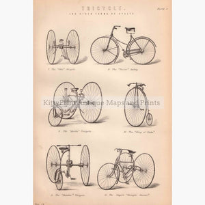 Bicycles And Tricycle 1881 Prints