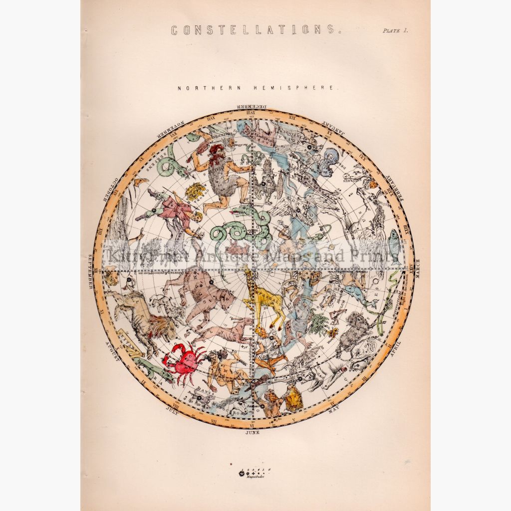 Constellations. Northern Hemisphere 1881 Maps