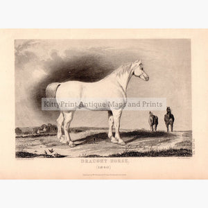 Draught Horse (1840) Prints