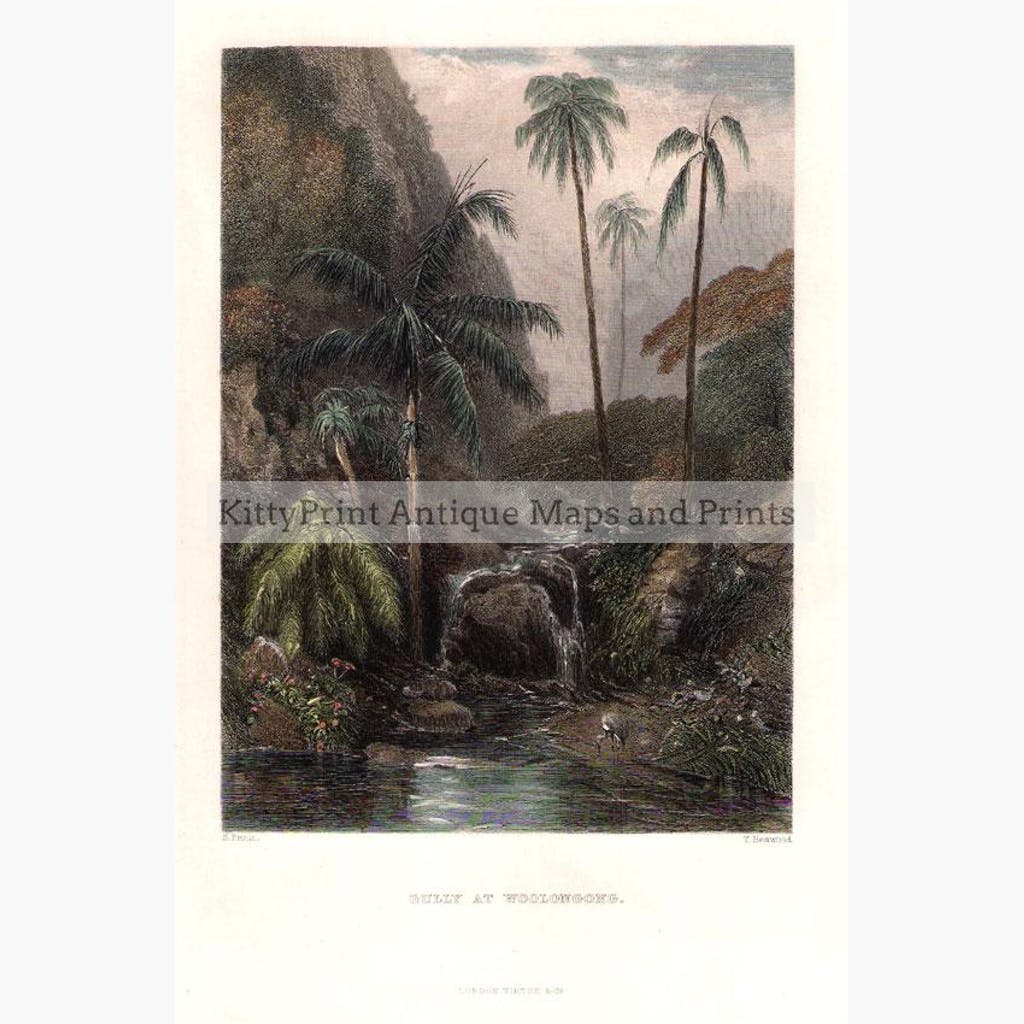 Gully at Woolongong (Wollongong New South Wales) c.1840 Prints KittyPrint 1800s Australia & Oceania Landscapes