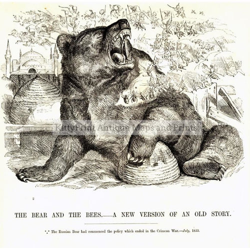 The Bear And Bees C.1880 Prints