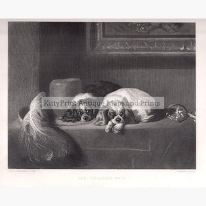 The Cavalier’s Pets c.1880 Prints KittyPrint 1800s Dogs