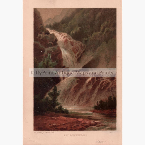 The Reichenbach C.1850 Prints